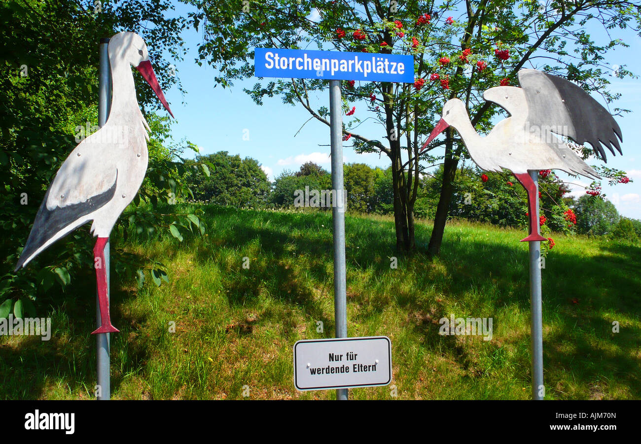 Cicogna bianca (Ciconia ciconia), parcheggio per gestanti, segno: solo per donne incinte genitori, Germania Foto Stock