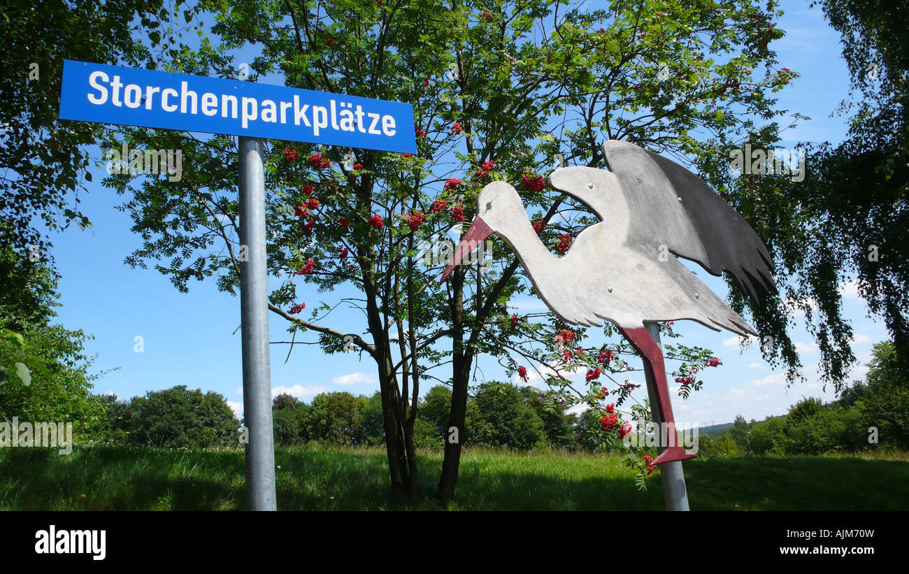 Cicogna bianca (Ciconia ciconia), parcheggio per gestanti, Germania Foto Stock