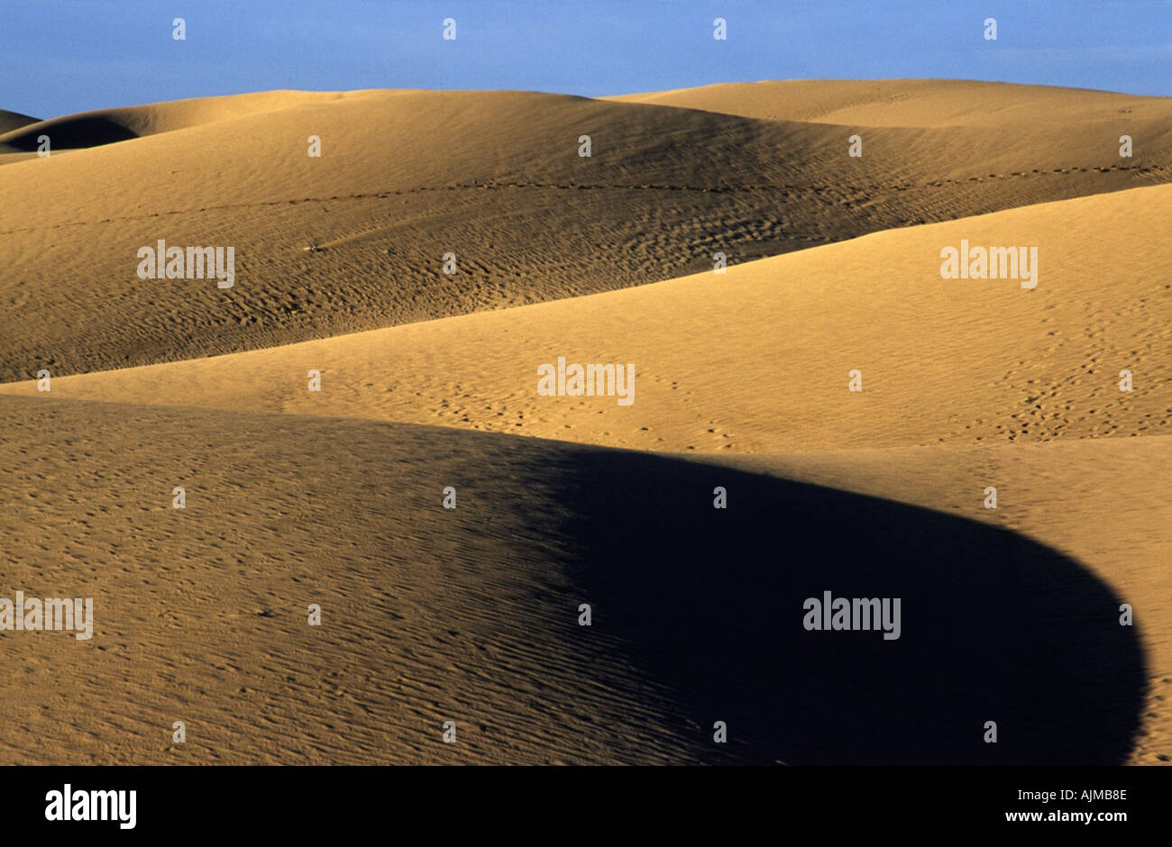 Dune di Maspalomas a Gran Canaria Foto Stock