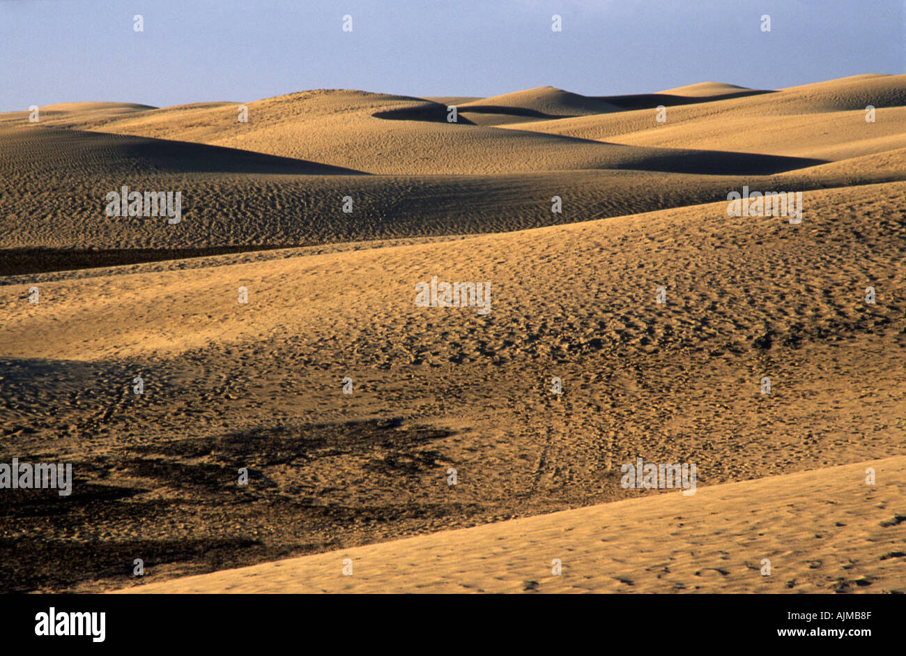 Dune di Maspalomas a Gran Canaria Foto Stock