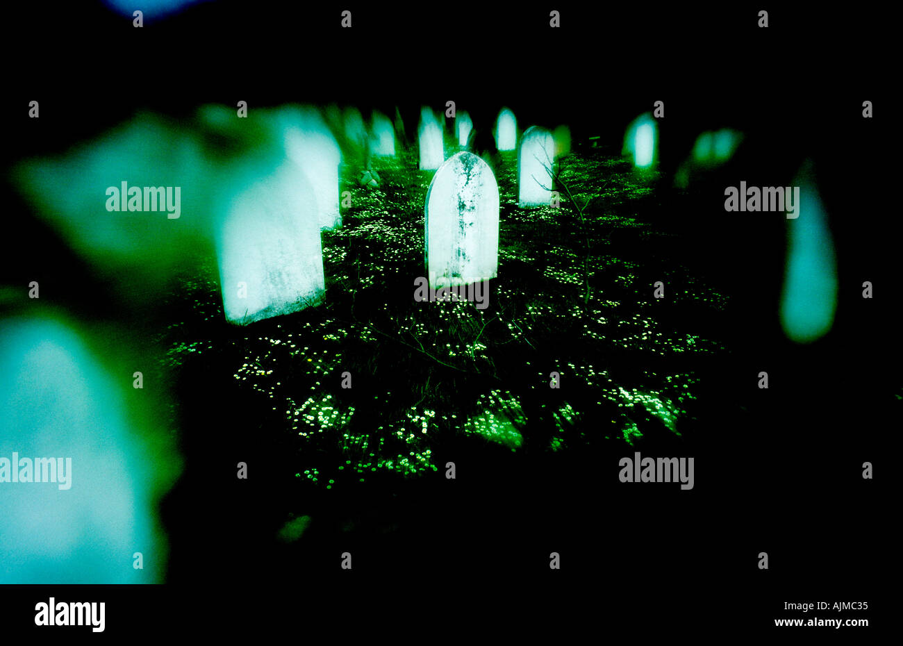 Immagine surreale del cimitero con margherite Foto Stock