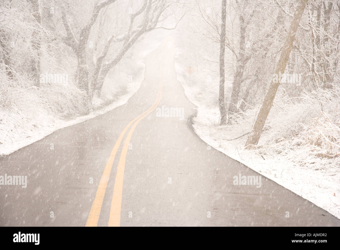 Little Elk Creek Road con neve Maryland Foto Stock