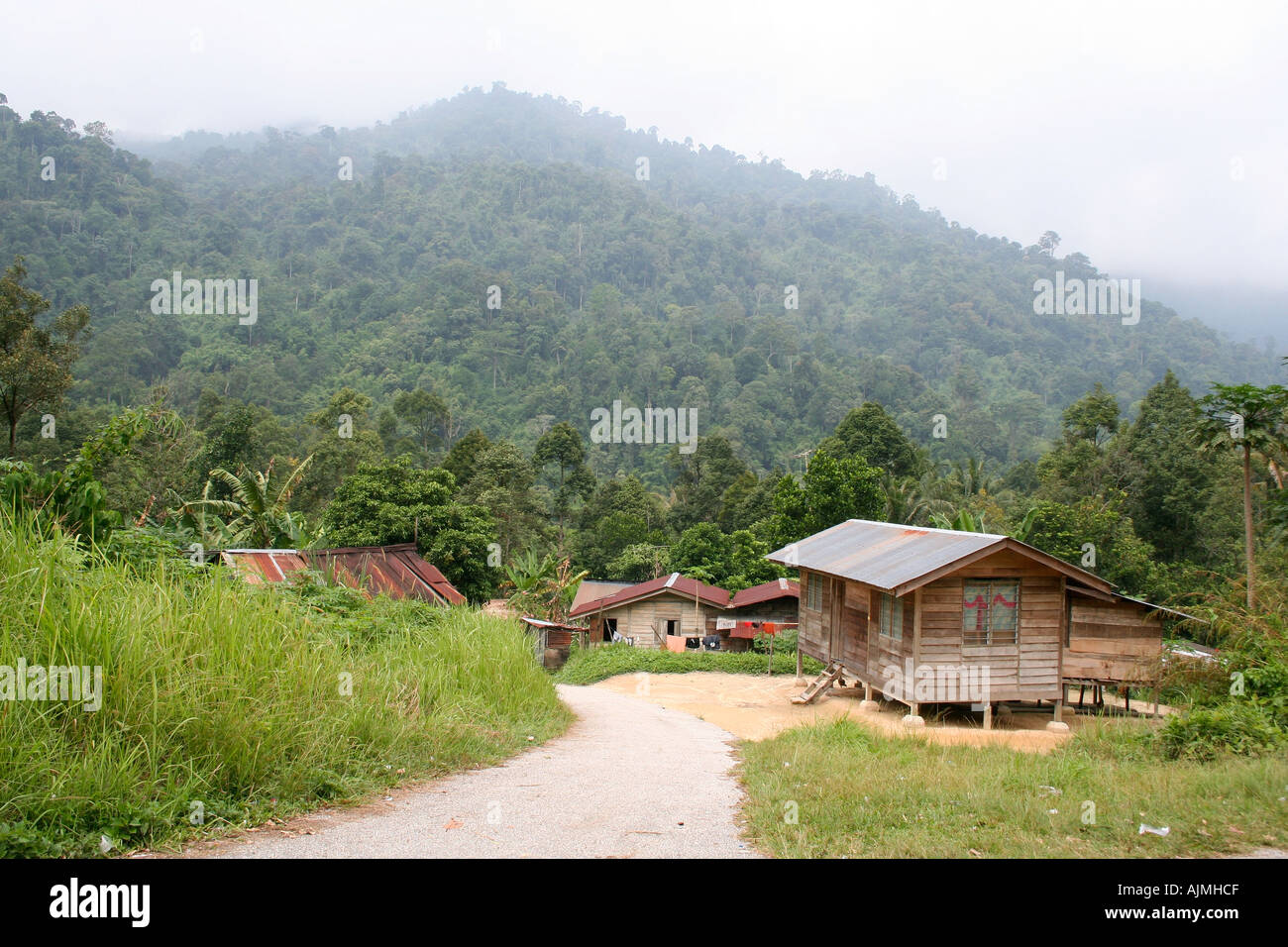 Orang Asli settlement Malaysia Foto Stock