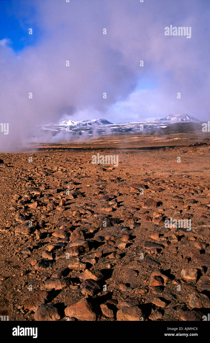 Deserto freddo, Hverarond campo geotermico, vicino vulcano Krafla, nel nord-est dell'Islanda. Foto Stock