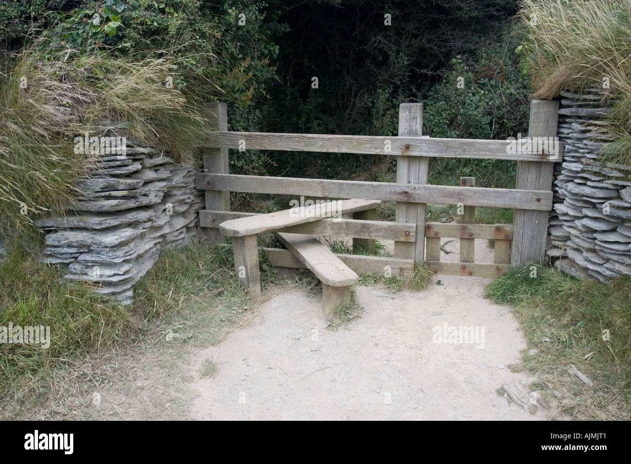 Stile di legno con il cane di porta tra muri di pietra sulla scogliera percorso North Devon Regno Unito Foto Stock