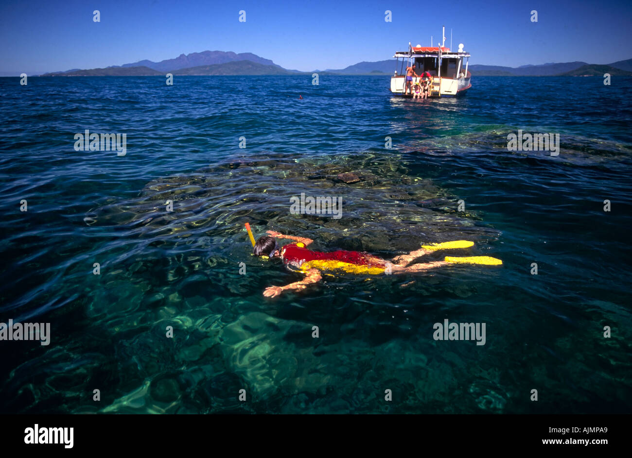Snorkeling, Hinchinbrook Island, in Australia Foto Stock