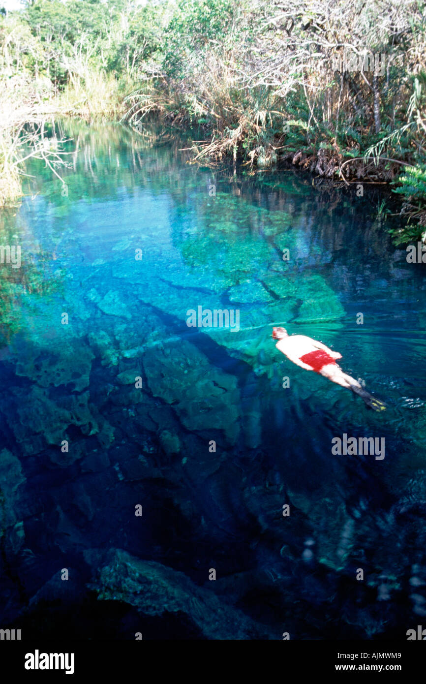 Un uomo nuotare in un cenote (dissipatore naturale foro) nella penisola dello Yucatan in Messico. Foto Stock