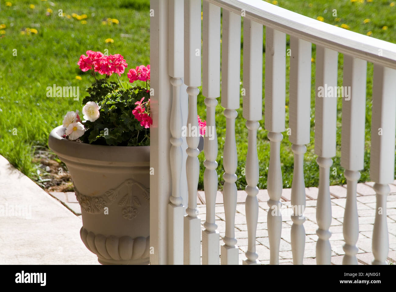 Dettaglio di fiori bianchi e ringhiera portico Foto Stock