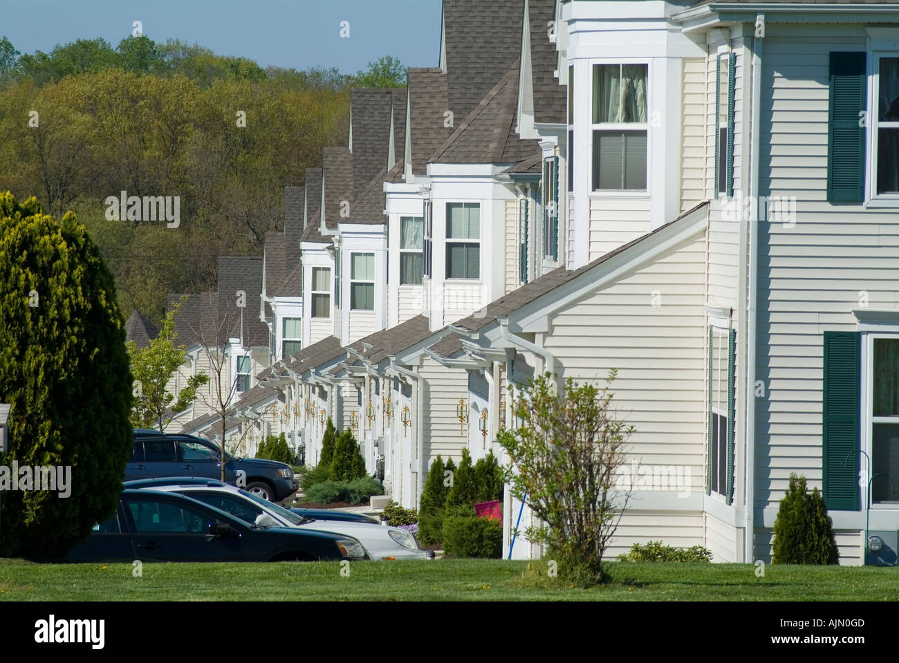 Riga della città suburbane case, Philadelphia, Stati Uniti d'America Foto Stock
