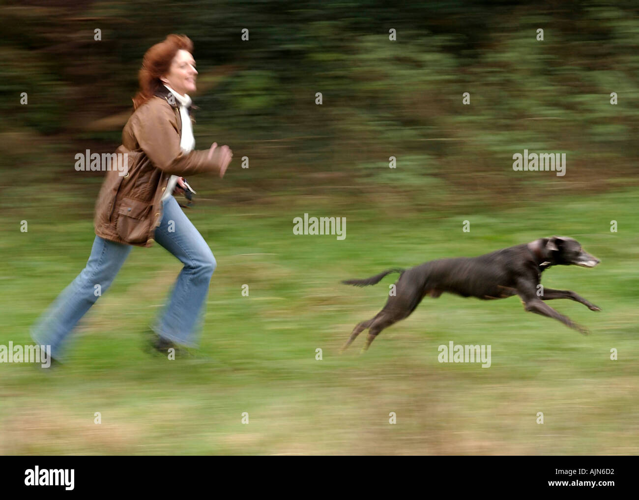 Hilary Parker esercitando con il suo cane lurcher Jake a Worle Weston super Mare 10 12 2004 Pic da John Robertson Foto Stock