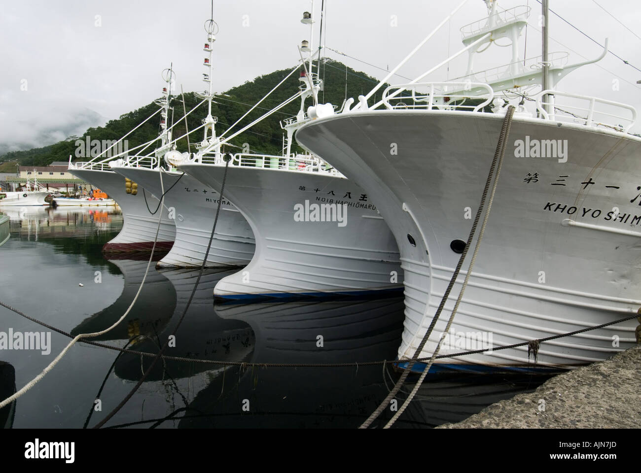 Barche da pesca nel porto di Rausu accanto a Shiretoko Parco Nazionale di Hokkaido in Giappone Foto Stock