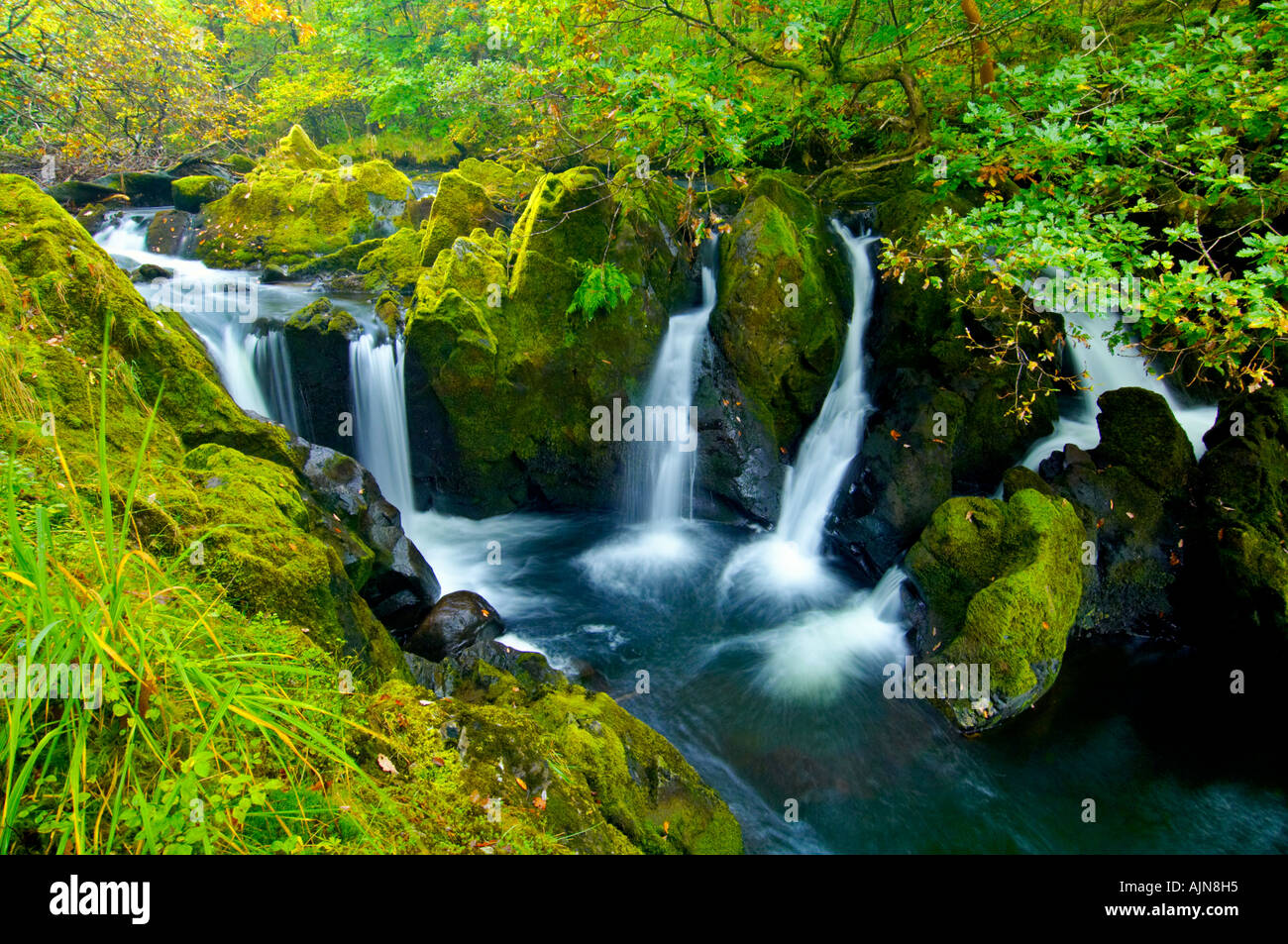 Forza Colwith cascata sul fiume Brathay nel Parco nazionale del Lake District vicino Colwith, Cumbria, Inghilterra. Foto Stock