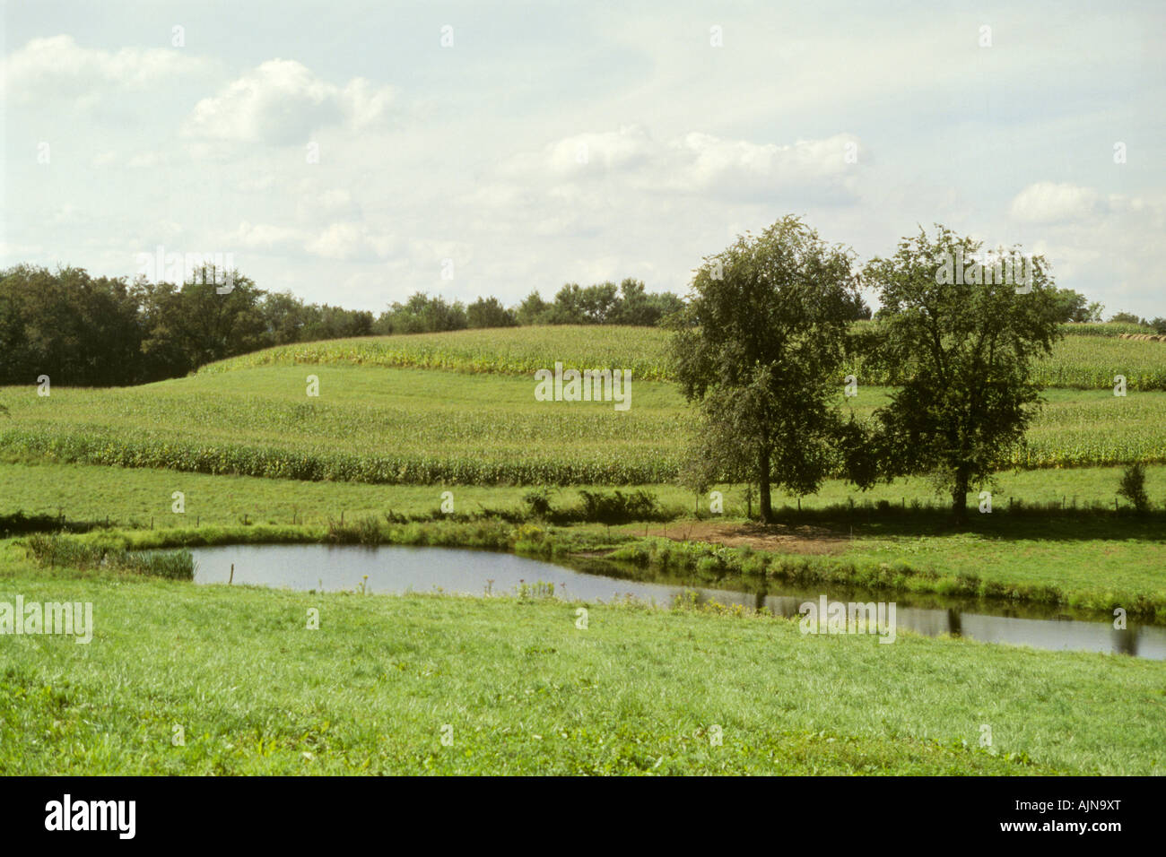 Fattoria Amish scena Lancaster County PA Pennsylvania Foto Stock