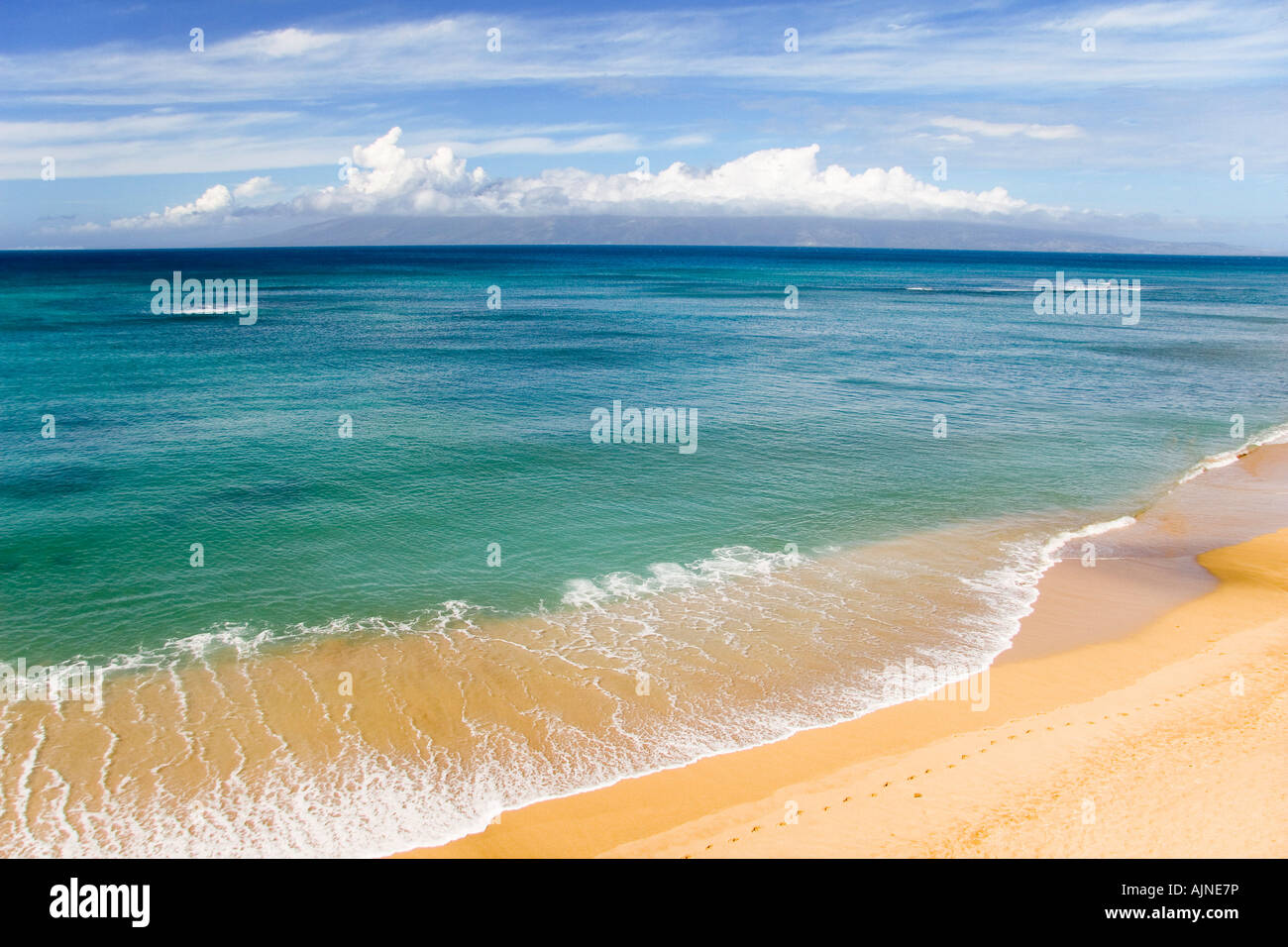 Spiaggia hawaiana, Kahana, Maui, Hawaii, STATI UNITI D'AMERICA Foto Stock