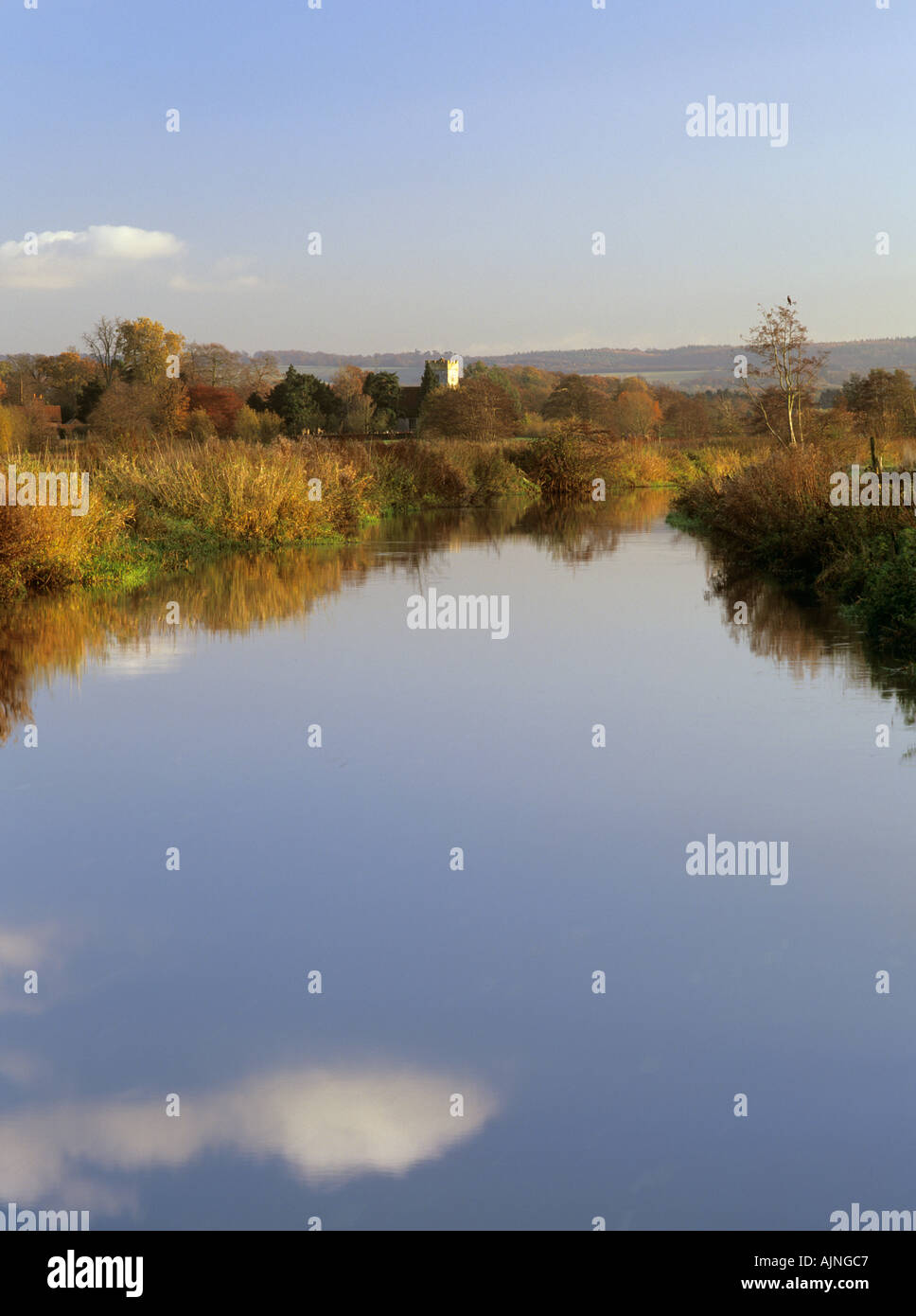 Vista lungo il fiume Wey in autunno. Inviare Surrey in Inghilterra UK Gran Bretagna Foto Stock