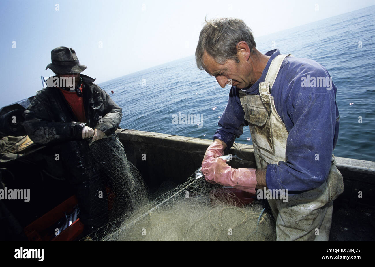 Fisherman portando in un volume di catture di sgombri Hastings Inghilterra Foto Stock