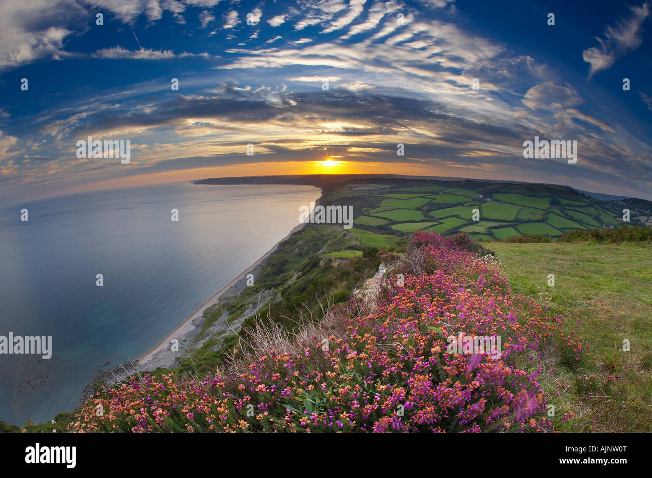 Sunset over Jurassic Coast dal Golden Cap, Dorset, Inghilterra, Regno Unito. (NR) Foto Stock