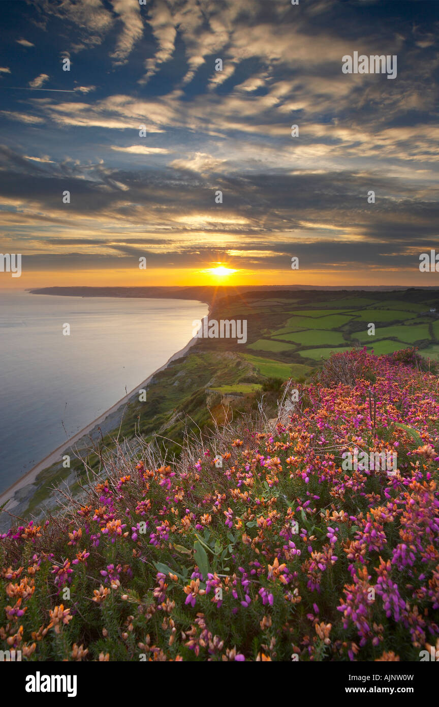 Sunset over Jurassic Coast dal Golden Cap, Dorset, Inghilterra, Regno Unito. (NR) Foto Stock