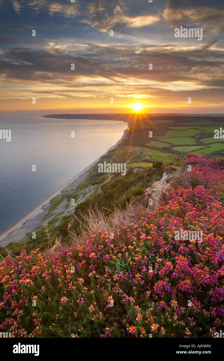 Sunset over Jurassic Coast dal Golden Cap, Dorset, Inghilterra, Regno Unito. (NR) Foto Stock