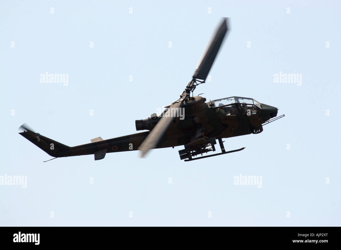 Bell AH-1 Cobra elicottero del Giappone terra Self Defence Force Foto Stock