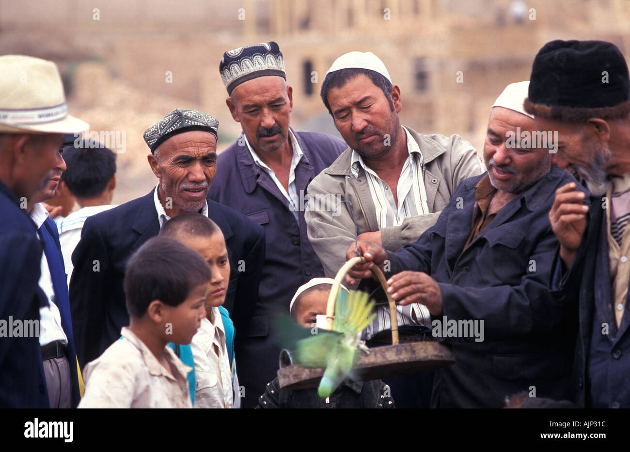 L'uomo vendita di variopinti uccelli tropicali a Kashgar mercato spettatori curiosi folla round Karakoram Highway Cina Foto Stock