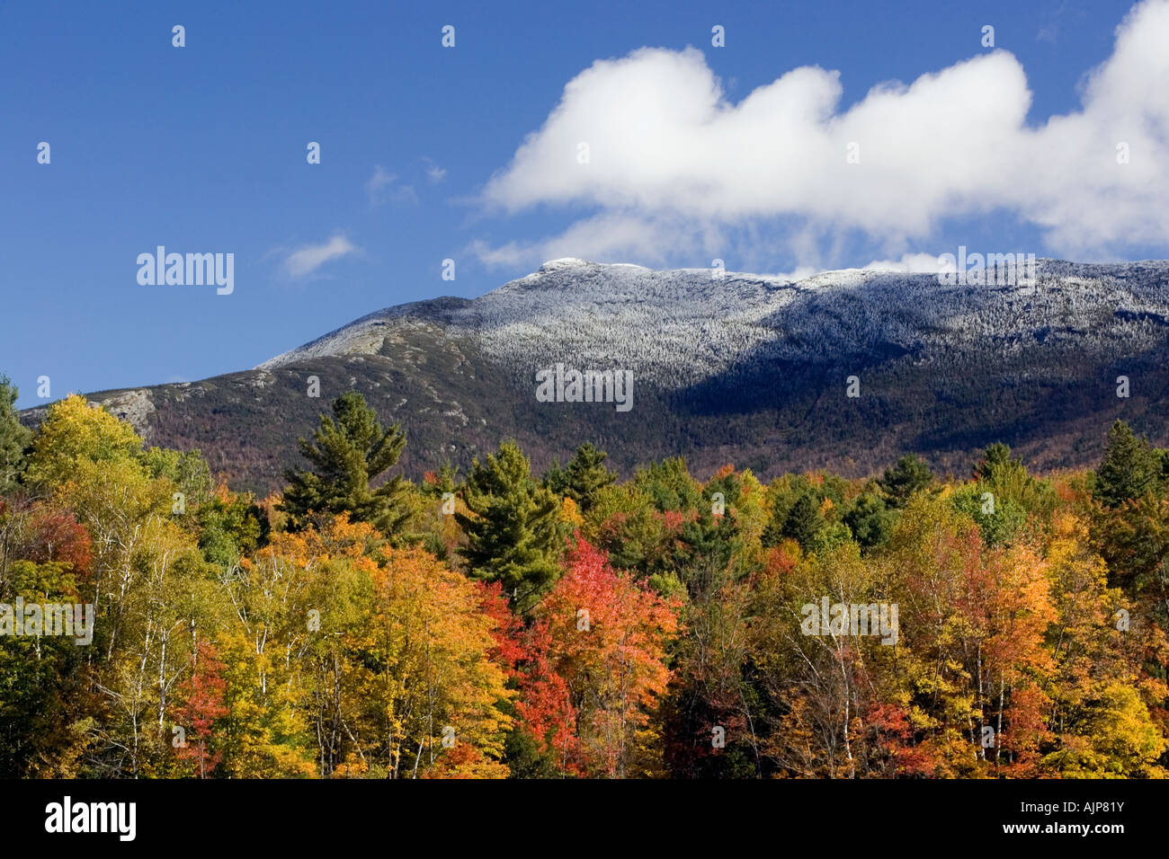 Caduta delle Foglie di colore con il gelo e la neve sulla cima di Mt. Mansfield, Underhill, Vermont. Foto Stock