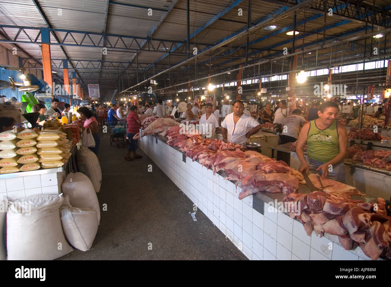 Mercato del Pesce di Manaus Amazonas Brasile Foto Stock