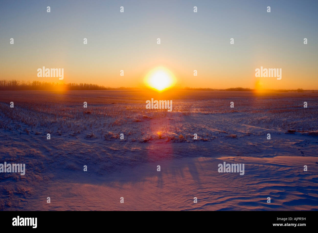 La mattina presto con coperta di neve terra Foto Stock
