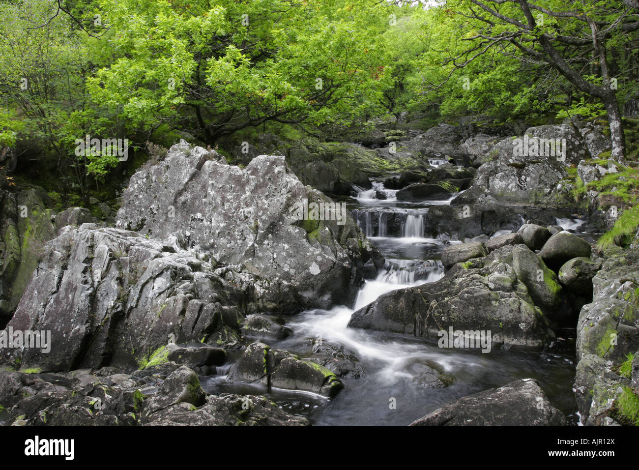Fiume Gamlan, Dolmelynllyn, Parco Nazionale di Snowdonia, Wales, Regno Unito Foto Stock