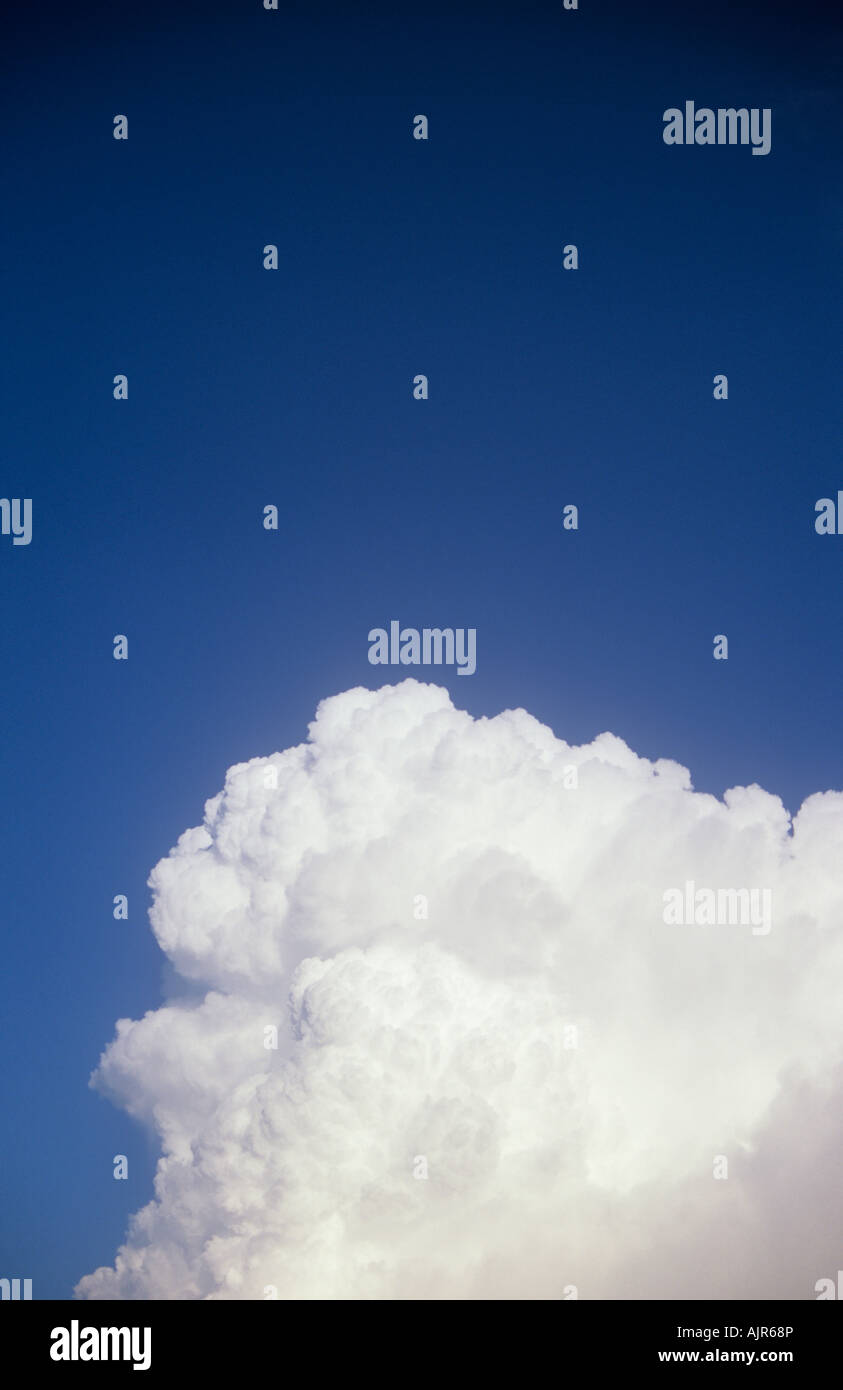 Il bianco e il grigio cumulus nuvole temporalesche raccolta e ondeggianti contro il cielo blu chiaro Foto Stock