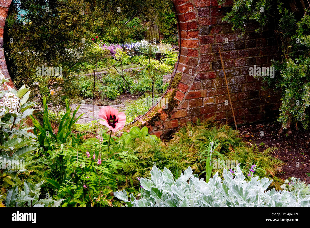 Vista sul Giardino di Rose a Broadleas, Devizes, Wiltshire, Inghilterra, Regno Unito Foto Stock