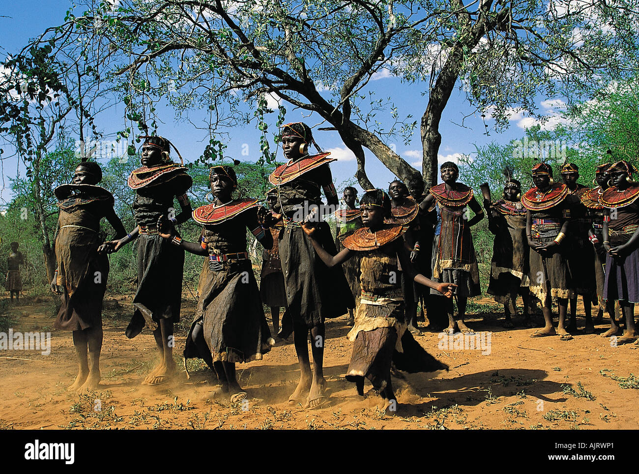 Pokot ragazze sono in ballo cerimonia di iniziazione, Kenya. Foto Stock