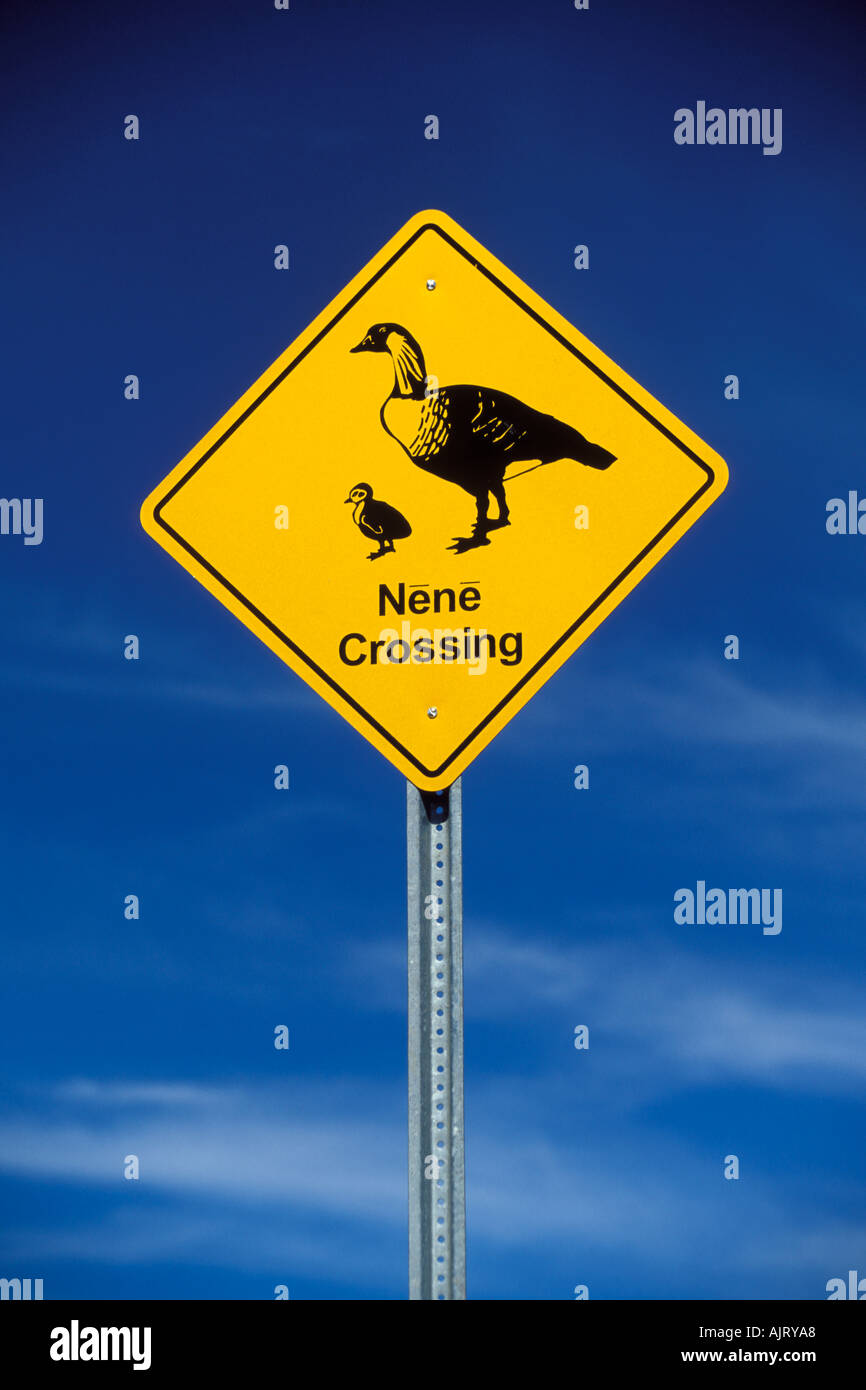 Un segnale di avvertimento per nenes attraversando la strada al Cratere Haleakala National Park, Maui, Hawaii. Foto Stock