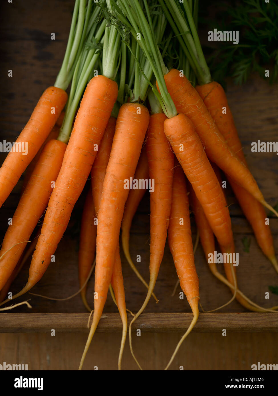Le carote con gambi e foglie nel vassoio in legno - fascia alta Hasselblad 61mb di immagine digitale Foto Stock