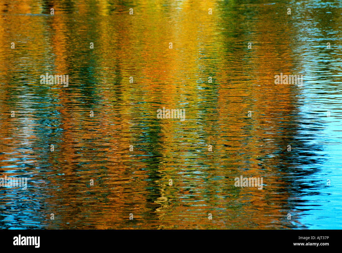 I colori autunnali riflessa nell'acqua increspature Foto Stock