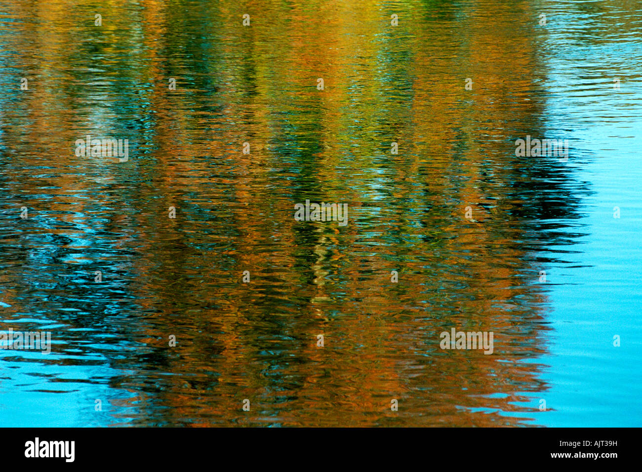 Foglie di autunno riflessa nell'acqua increspature Foto Stock
