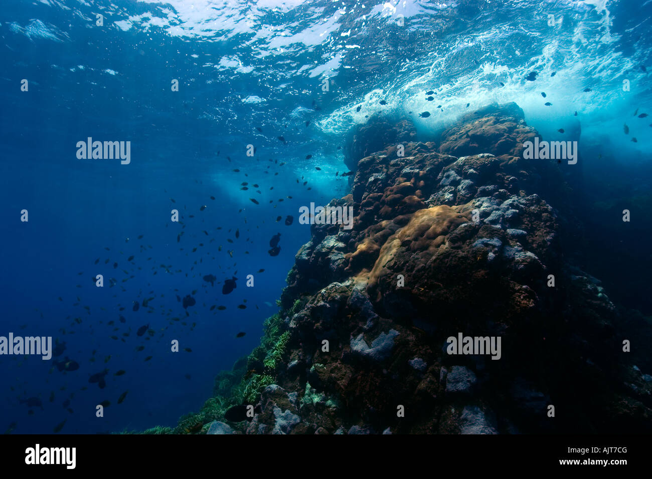Rocky substrato subacquea San Pietro e di San Paolo s rocce Brasile Oceano Atlantico Foto Stock