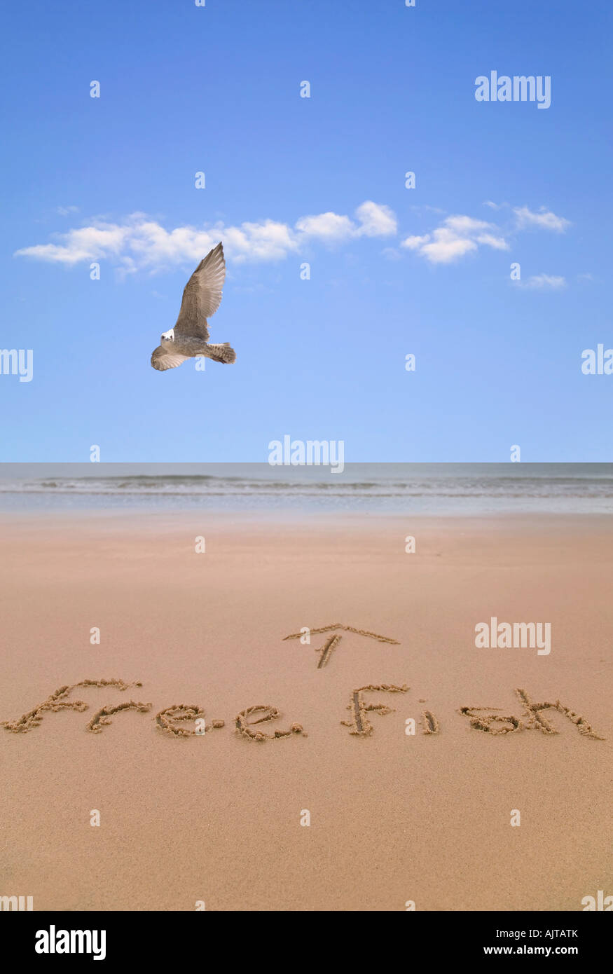 Pesce libero scritto in sabbia in spiaggia con un gabbiano volare passato Foto Stock