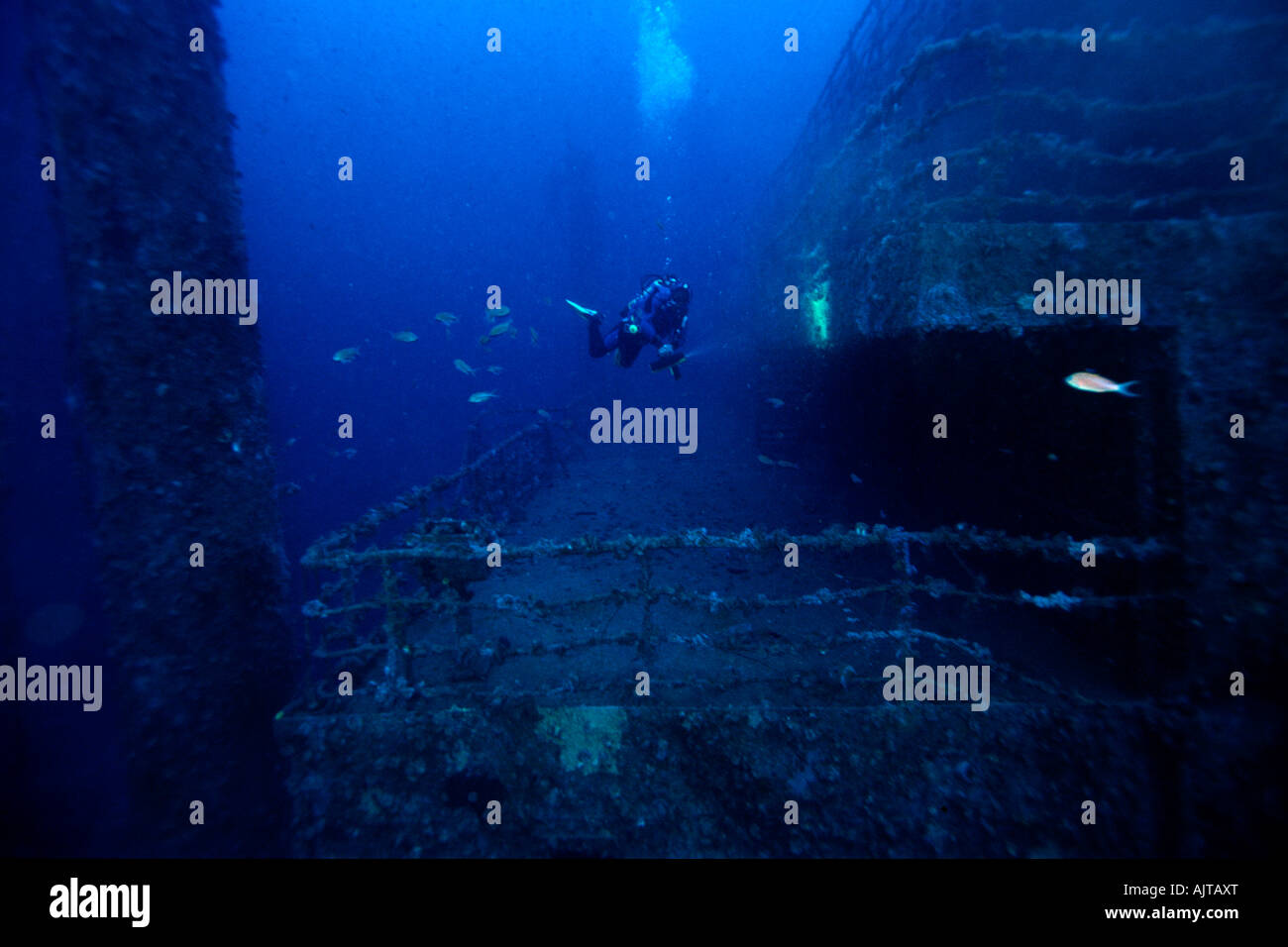 Scuba Diver esplorando la Amoco Milford Haven petroliera relitto Liguria mare Mediterraneo Italia Foto Stock