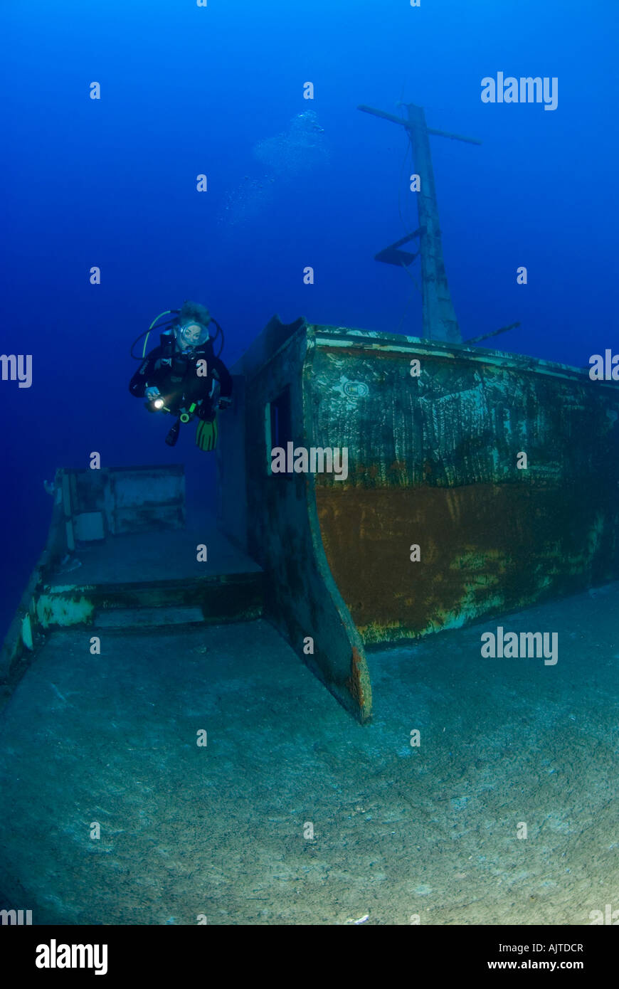 Diver al relitto MV Cominoland Mare Mediterraneo Gozo Foto Stock