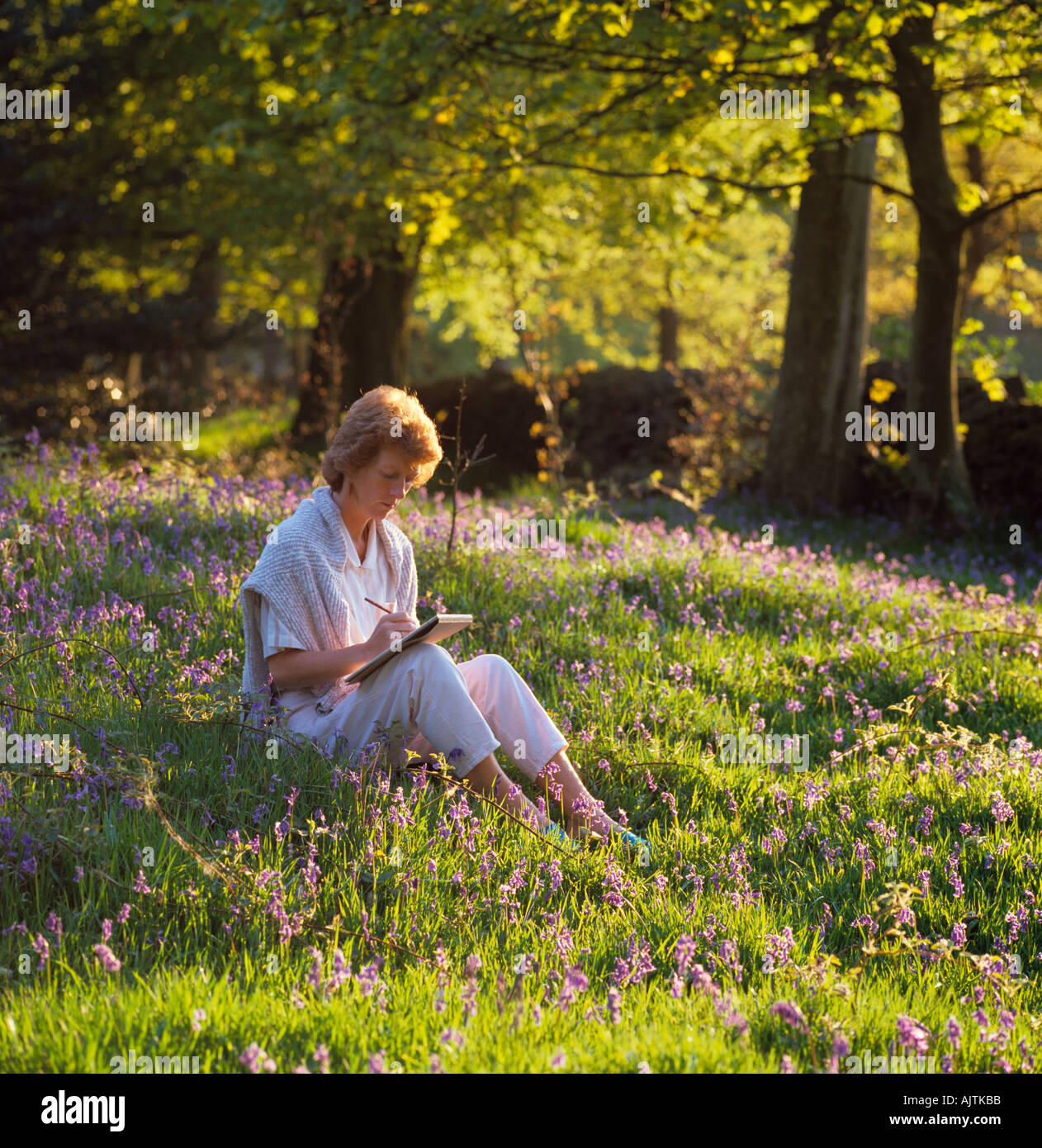 Artigianato Cheshire Poynton artista delineando in bluebell prato Foto Stock