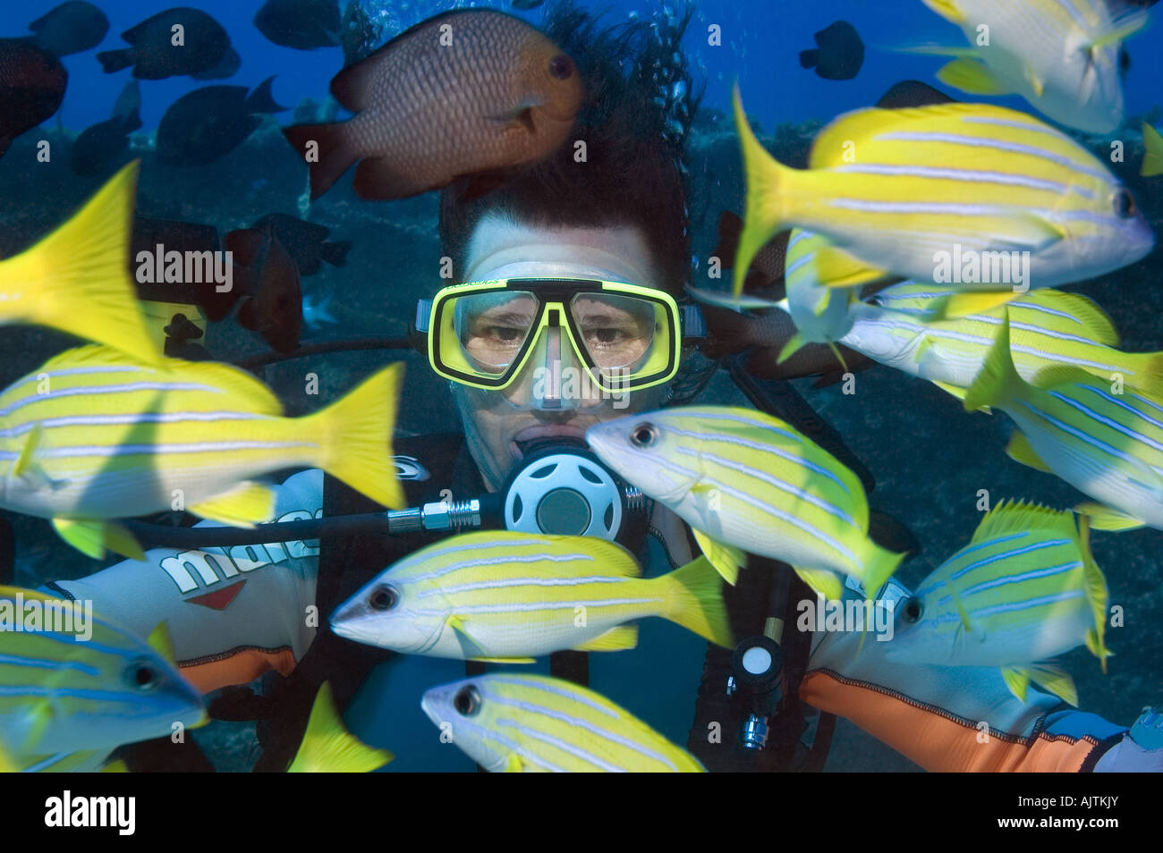 Ritratto scubadiver circondata da banchi di pesci Foto Stock