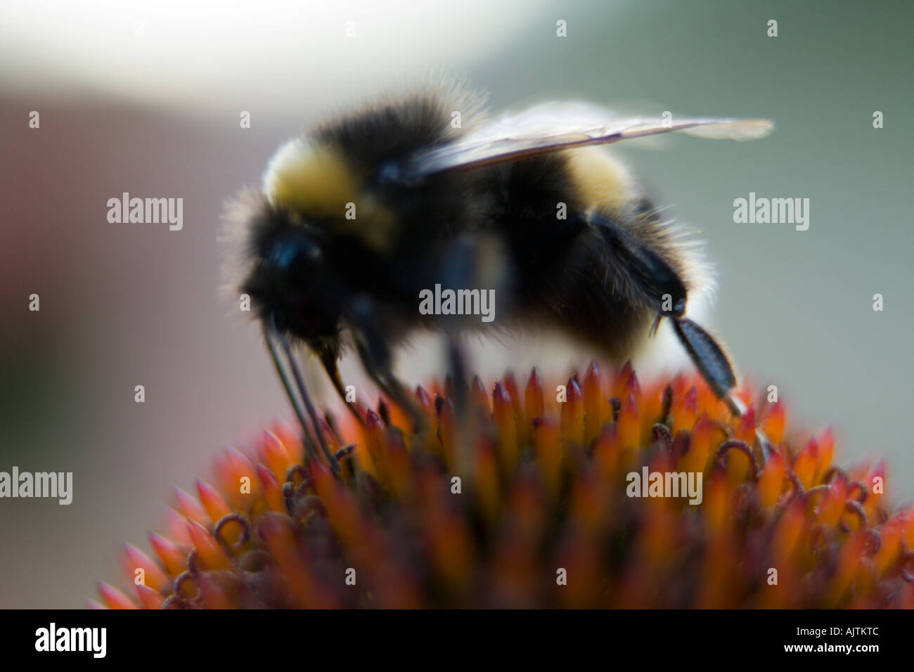 Sarò in e fuori prima che tu lo sai Foto Stock