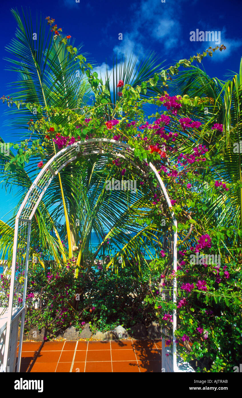 Rodney Bay St Lucia Rex San Luciano giardini dell'Hotel Foto Stock