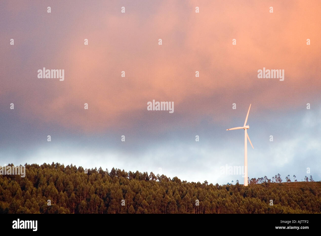 Le turbine eoliche contro sunst Foto Stock