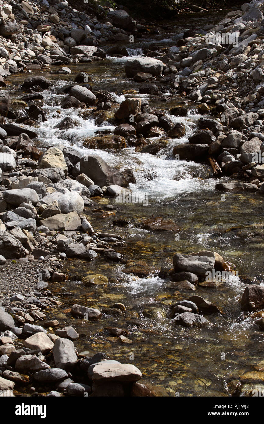 Un torrente incrocio sotto Spray strada dei laghi del sud-ovest di Alberta in Canada Foto Stock