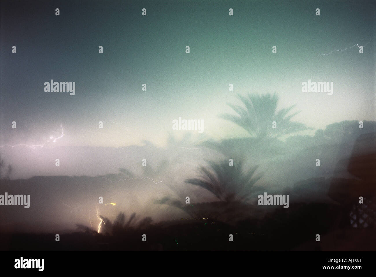 Il fulmine e il palm tree, doppia esposizione Foto Stock