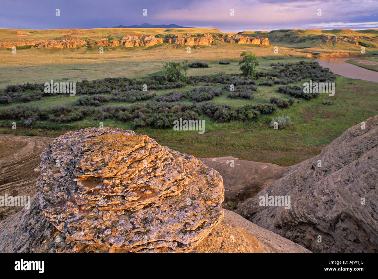 Hoodoos la scrittura su pietra Parco provinciale di Alberta in Canada Foto Stock