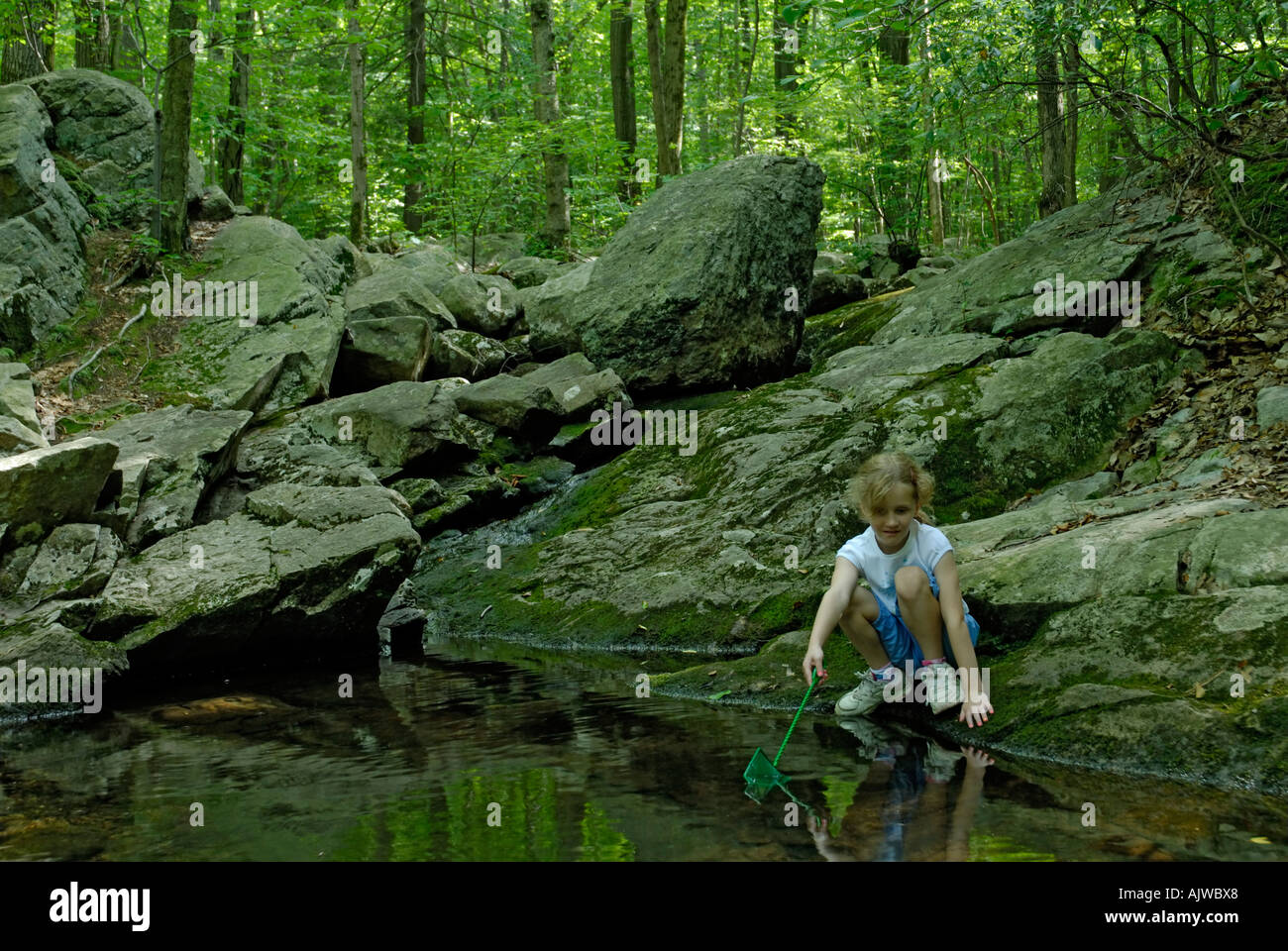 Ragazza giovane con la rete in cerca di catturare le rane o pesce in un flusso nei boschi Foto Stock