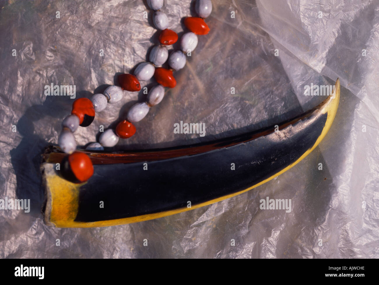 Toucan bill collana gioielli in vendita presso un villaggio mercato locale in Amazzonia peruviana foresta pluviale Foto Stock
